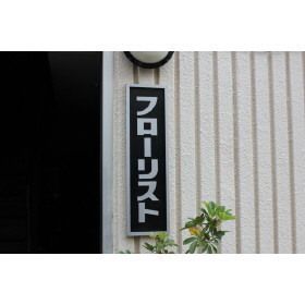 �y���̑��z�@