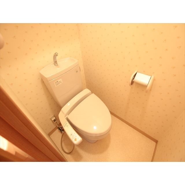 �y�g�C���z�@