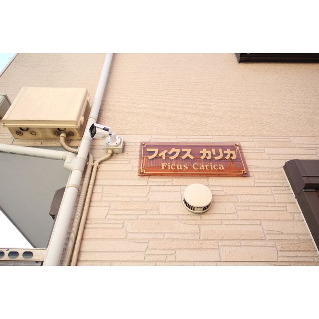 �y���̑��z�@�h�ƃJ���������̊Ŕ�