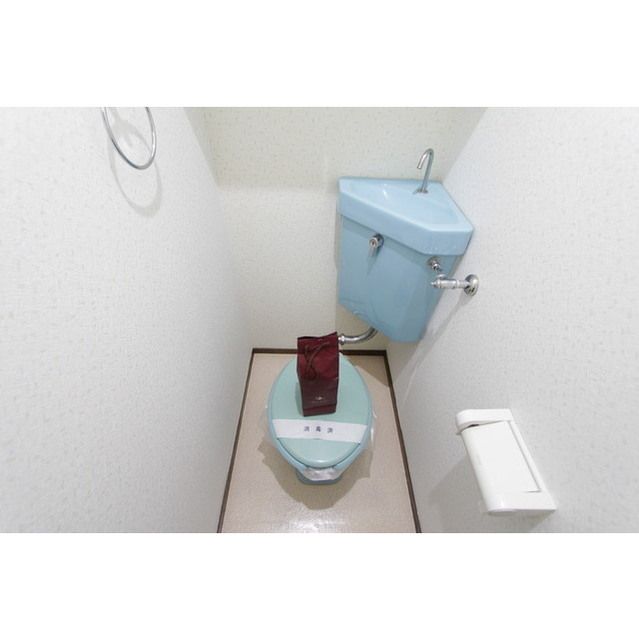 �y�g�C���z�@�F�����͓I�ȃV�����ȃg�C����