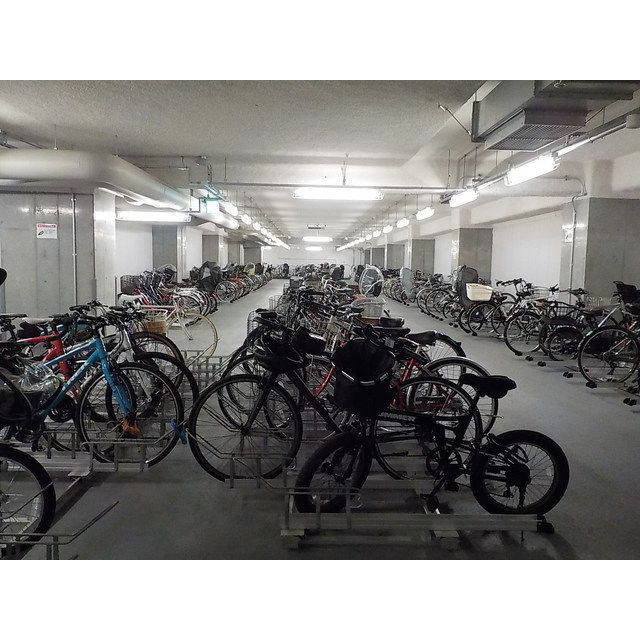 �y���̑����L�����z�@