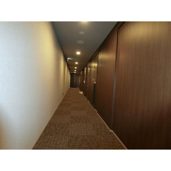 �y���̑����L�����z�@