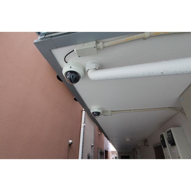 �y���̑����L�����z�@