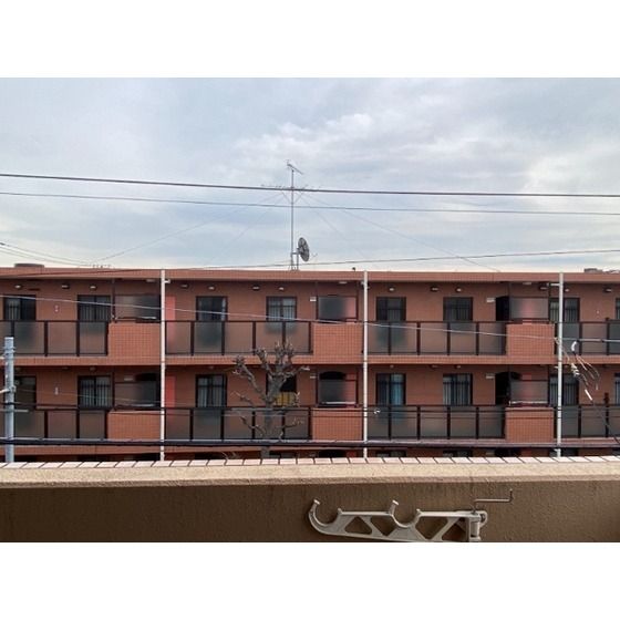 �y���]�z�@