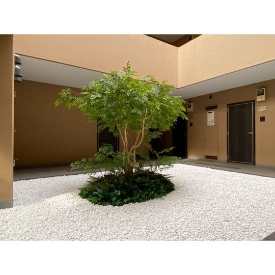 �y���̑����L�����z�@