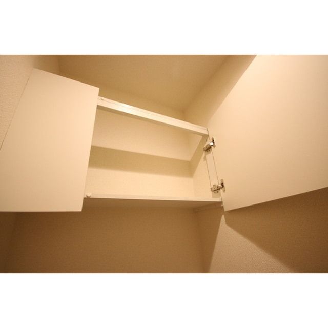 �y���[�z�@�������g���C���[�t���ł���